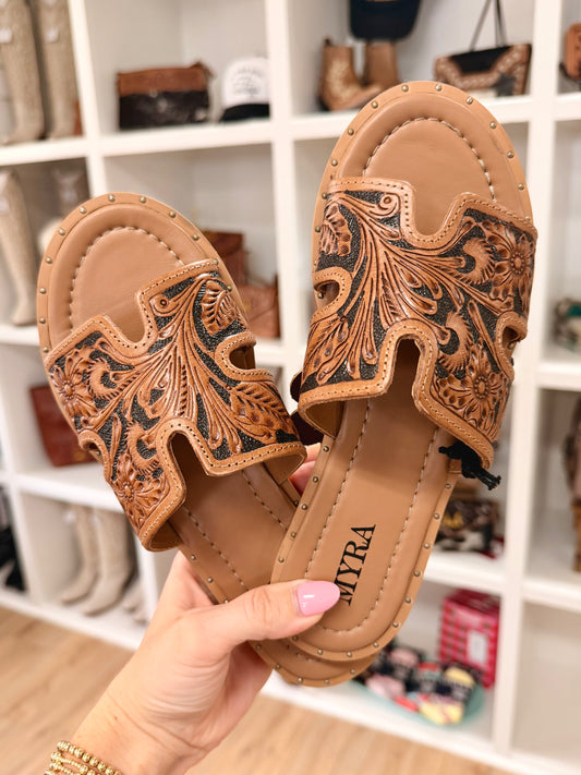 Carmina Anne Sandals |Black|