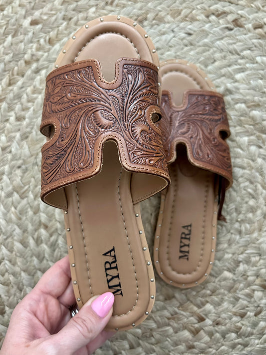 Carmina Anne Sandals |Brown|