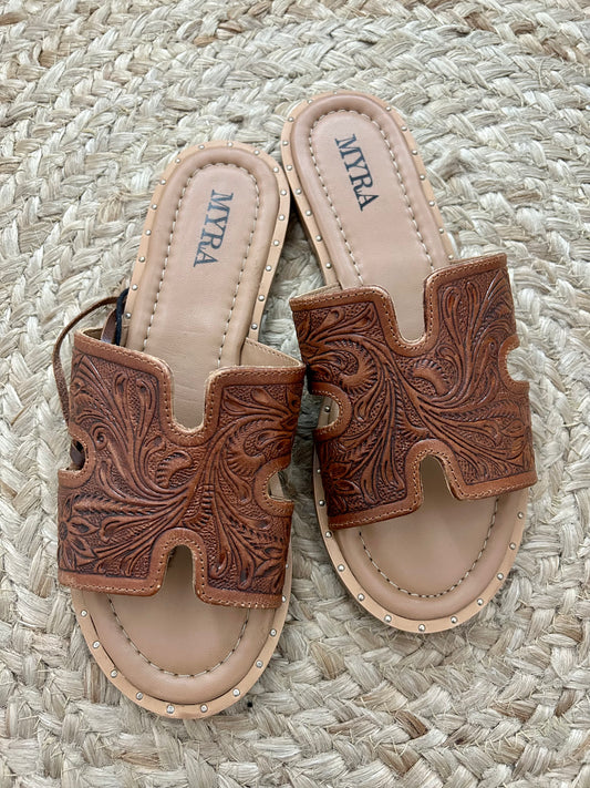 Carmina Anne Sandals |Brown|